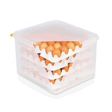 thumbnail of WAS Germany - HACCP Eierbox GN 2/3,  für 4 Einlagen je 30 Eier,  Polystyrol