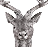 thumbnail of XL Hirschgeweih Hirschkopf Geweih 10-Ender Silber Optik 30x18x40cm