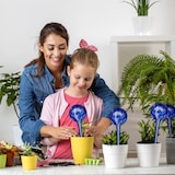 thumbnail of Relaxdays Bewässerungskugeln Glas, 4er Set, HxD 30x9 cm, Gießkugeln für Pflanzen, Bewässerungshelfer Urlaub, transparent