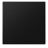 thumbnail of Jung Wippe A 590 SWM A590SWM