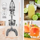 thumbnail of Lumaland Edelstahl Saftpresse - manuelle Handpresse mit Standfuß & Hebel - Silber