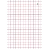 thumbnail of Exacompta - Réf. 3240E - Paquet de 10 Manifolds quadrillés 5x5 14,8x10,5cm 50 feuillets dupli autocopiants