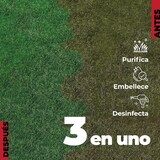 thumbnail of LUCCY Igienizzante per prati artificiali 2 litri | Detergente a tripla azione per prati artificiali per aziende