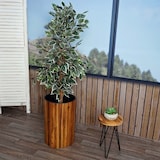 thumbnail of Pflanzkasten HWC-L24, Pflanzkübel Blumentopf Blumenkasten, rund 50x34cm Outdoor Akazie Holz MVG-zertifiziert, braun