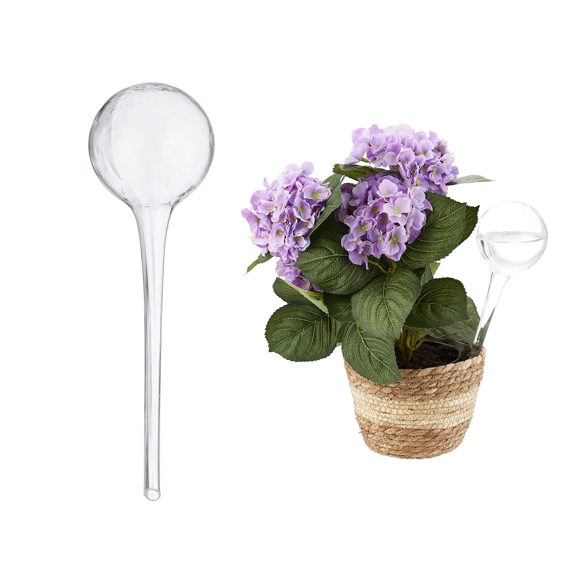 Relaxdays Bewässerungskugel 2er Set, dosierte Pflanzen Bewässerung, Blumentopf, Gießhilfe Büro, Glas Ø 9 cm, transparent