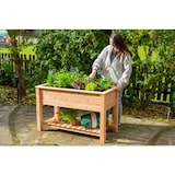 thumbnail of Westmann Verhoogde Plantenbak Emily 120x65x75 cm - Moestuinbak WM102420