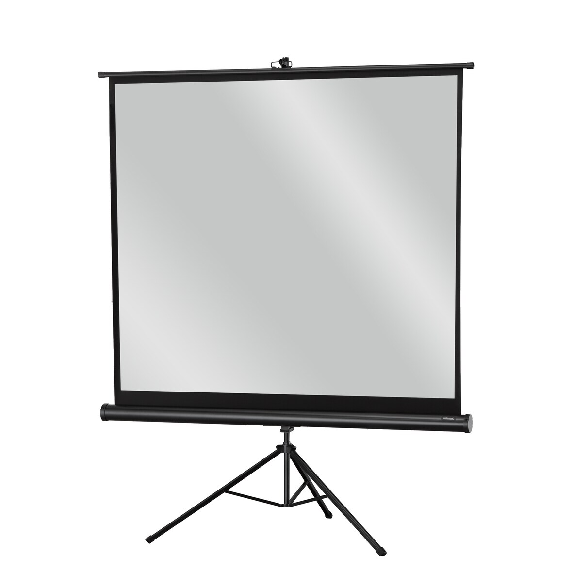celexon Stativleinwand Economy 133 x 100 cm