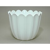 thumbnail of Blumenübertopf Pflanzgefäß Kunststoff Weiß - Stilvoller Blumentopf für kleine Pflanzen, Kräuter - Robustes PVC, 110mm Durchmesser, 95mm Hoch, 1 Stück