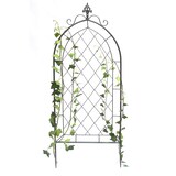 thumbnail of DanDiBo Rankhilfe Metall Rankgitter 120 cm Grau 96193 Kletterhilfe Bodenstecker Blumenhalter Ranksäule