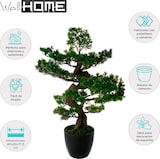thumbnail of WellHome - Künstlicher Bonsai für drinnen und draußen, 20x20x17,5cm