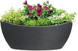 thumbnail of SCHEURICH Pflanzgefäß Wave Globe Jardiniere,  58 x 23 cm, schwarz-granit