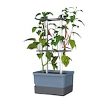 thumbnail of Gusta Garden Charly Chili Drinnen/Draußen Topfpflanzer Freistehend Polypropylen (PP), Aluminium Blau