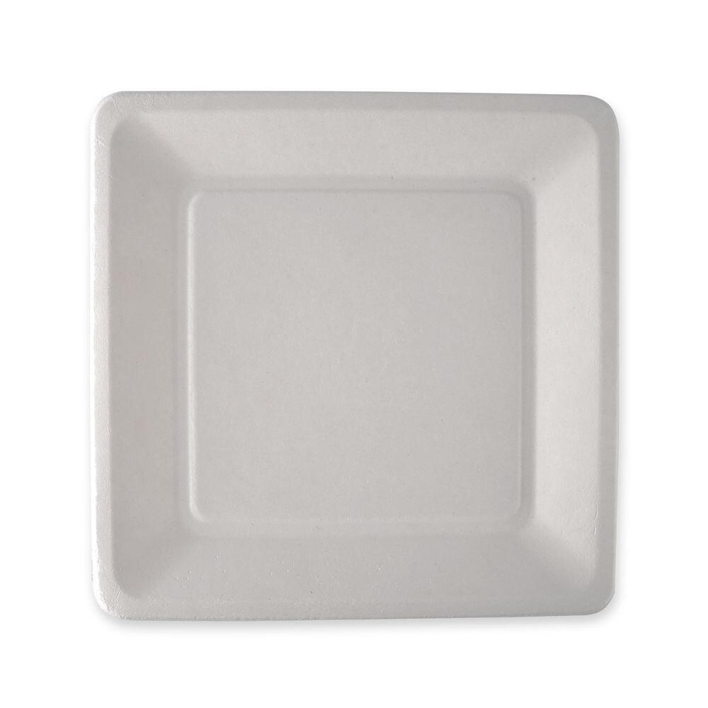 50x BIO Zuckerrohrteller 26x26cm quadratisch Einwegteller aus Zuckerrohr