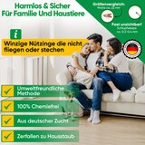 thumbnail of Schlupfwespen gegen Kleidermotten: 4x Lieferungen zur Vollbehandlung / 3