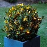 thumbnail of LED Lichternetz Lichterkette Buchsbaum Kugelnetz für Außen 80cm grün