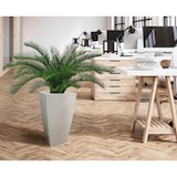 thumbnail of Vase en béton peint blanc - 33x33x61cm