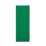 thumbnail of ROSSIGNOL Boîtier défibrillateur CLINIX vert