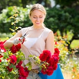 thumbnail of Relaxdays Rosenbogen Metall, Rankhilfe für Kletterpflanzen, Deko-Spitzen, wetterfest, HBT 270 x 144 x 60 cm, dunkelgrün