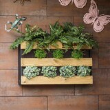 thumbnail of HORTALIA Jardín vertical M en madera tratada para exterior