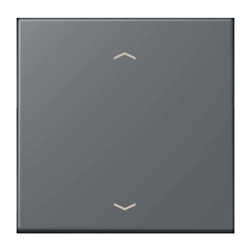 Jung Wippe mit Pfeilsymbolen LC 101P 202 LC101P202
