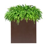 thumbnail of WellHome - Vaso de Bronze "Coleção Astra" 30L 70x70cm