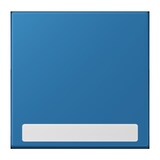 thumbnail of Jung Wippe 1fach m. Schriftfeld LC 990 NA 211 LC990NA211