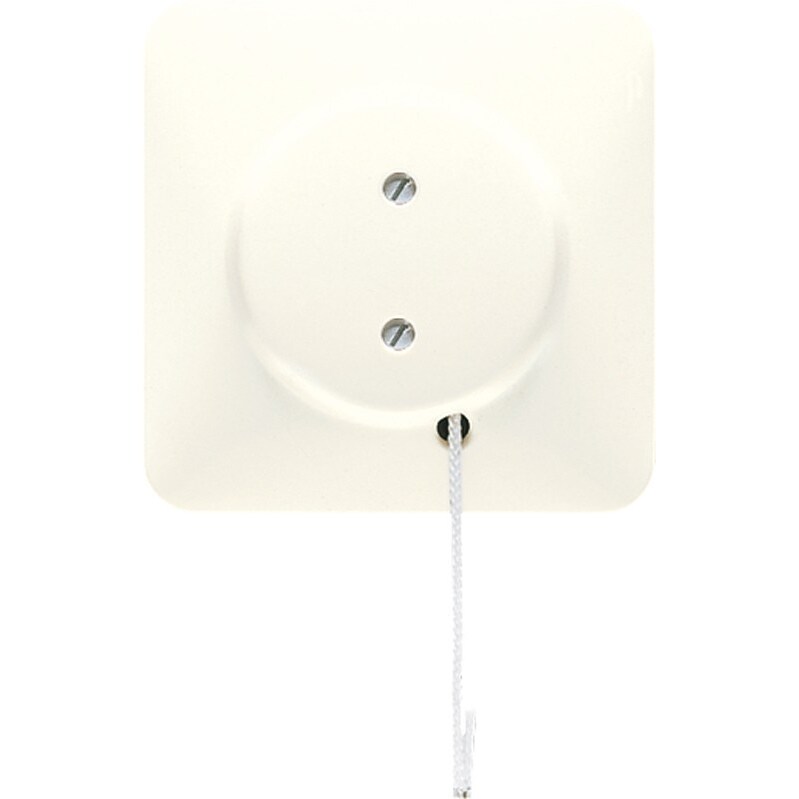 Jung Zugschalter Z 506 NUZV Z506NUZV