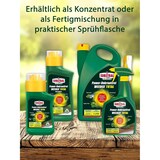 thumbnail of Substral Celaflor Power Unkrautfrei Weedex Total 3 Liter Sprühkanister