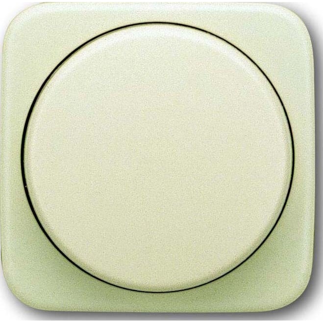 Busch-Jaeger Zentralscheibe ws 2115-212 2CKA006599A1334