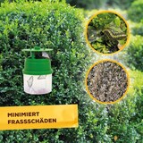 thumbnail of Solabiol Buchsbaumzünslerfalle Pheromonbehältern Lockstoff 1 Stück