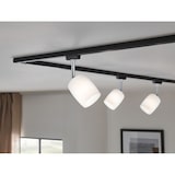 thumbnail of Paulmann URail spot sur rail Blossom spot individuel G9 max. 10W dimmable 230V noir mat, satiné 96966