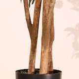 thumbnail of Pianta artificiale Limonero 180 cm - Naturing Monde - Interni