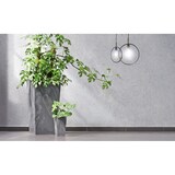 thumbnail of DEUBA® Blumentopf in Betonoptik 49 Liter
