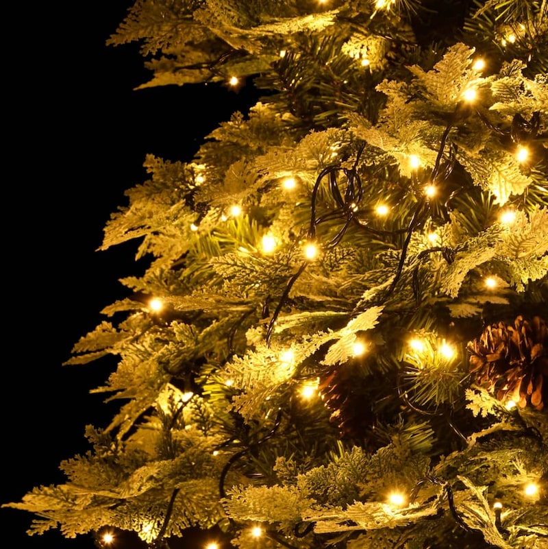 Ein verschneiter Weihnachtsbaum mit Lichtern.