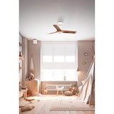 thumbnail of Ventilador LED HEYWOOD S Blanco/Madera DC