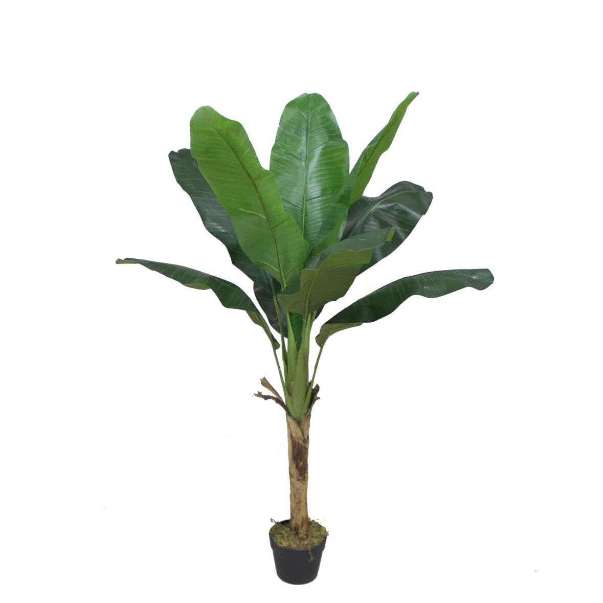 Bonerva | Platanera Nature 120 cm Altura | Planta artificial con Tronco natural | Ideal para decorar interiores: hogares, negocios y hoteles