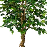 thumbnail of CREATIV green künstliche Pflanze Ficus Benjamini, ca 125cm grün, Kunststoff, im Topf 17x14cm schwarz