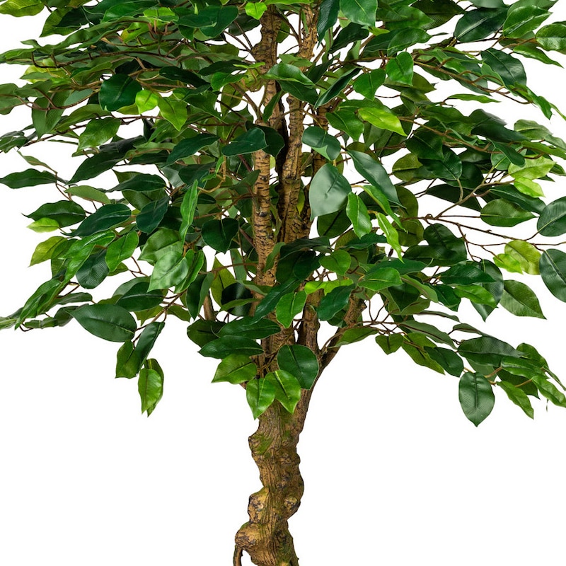 mobile_image