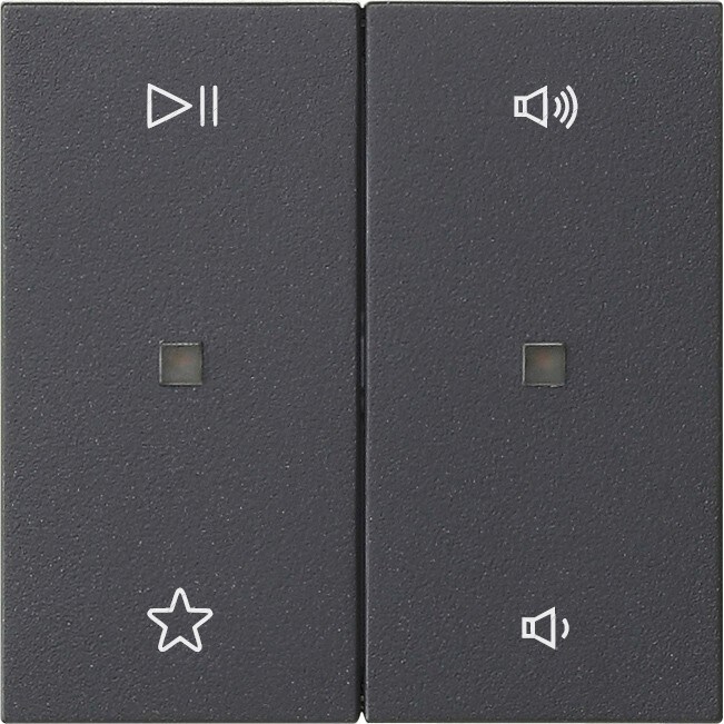 Gira Wippe 2f Audiostrg 538428