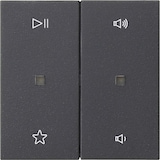 thumbnail of Gira Wippe 2f Audiostrg 538428