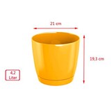 thumbnail of WellHome - Set van 3 bloempotten 4,2L Coubi Ø21 cm/u Kleur Wit
