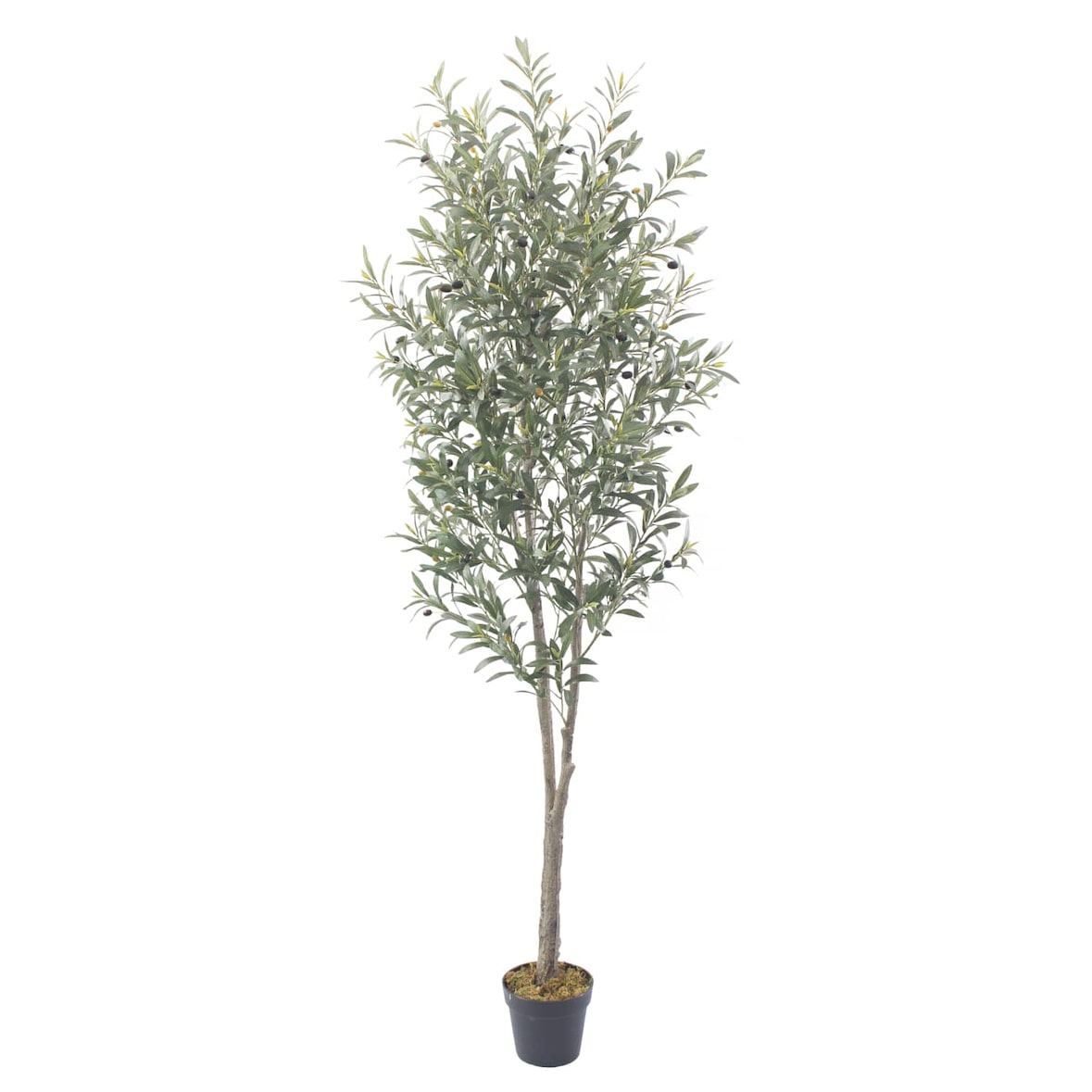 Bonerva | Olivo Deco 210 cm Altura | Planta artificial para decorar interiores: hogares, negocios y hoteles | Sin mantenimiento