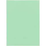 thumbnail of EXACOMPTA Paquet de 250 sous-chemises SUPER 60 en carte 60 grammes coloris Vert clair