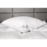 thumbnail of HS16 Kissen 80x80 1400 + 200 g FEDERN + DAUNEN 3-Kammer 1600 G