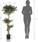 thumbnail of Planta artificial / árbol artificial ACACIA 155 cm verde hjh OFFICE