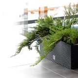 thumbnail of WellHome - Set mit 2 Töpfen 17L in Anthrazit