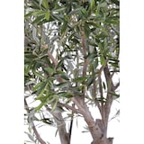 thumbnail of VERT ESPACE olivier geant 185 cm