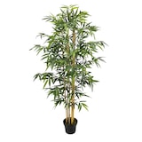 thumbnail of Bambu 180 Cm