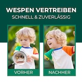thumbnail of Wespenspray: 4 x 500 ml