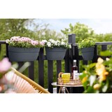 thumbnail of Elho Vibia Campana Easy Hanger Balkonkasten Schwarz Rund Kunststoff 2.8L